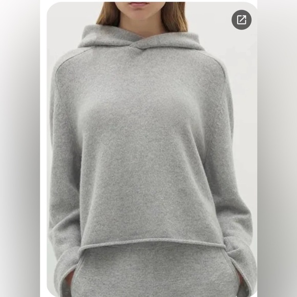 NakedCashmere Sweaters - NakedCashmere Light Gray Cashmere Hoodie Sweater